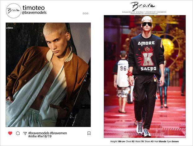Brave Model Management