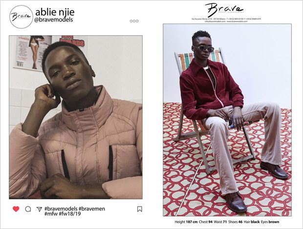 Brave Model Management
