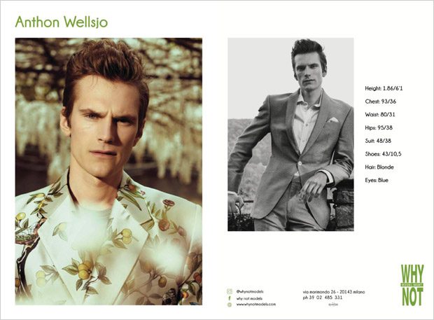 Why Not Model Management