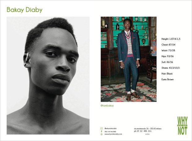 Why Not Model Management