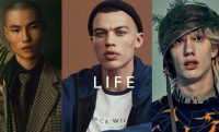Brave Model Management