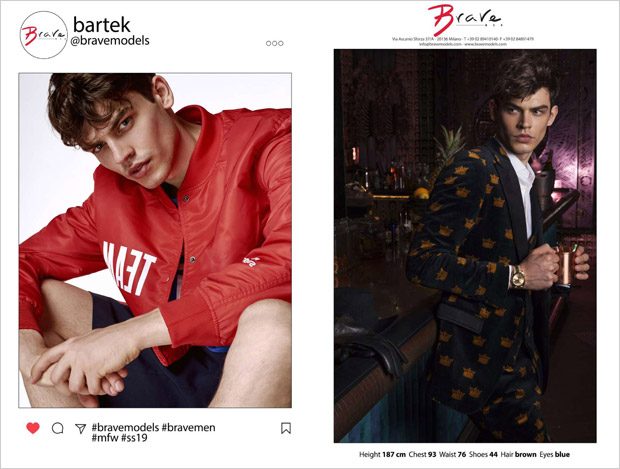 Brave Model Management