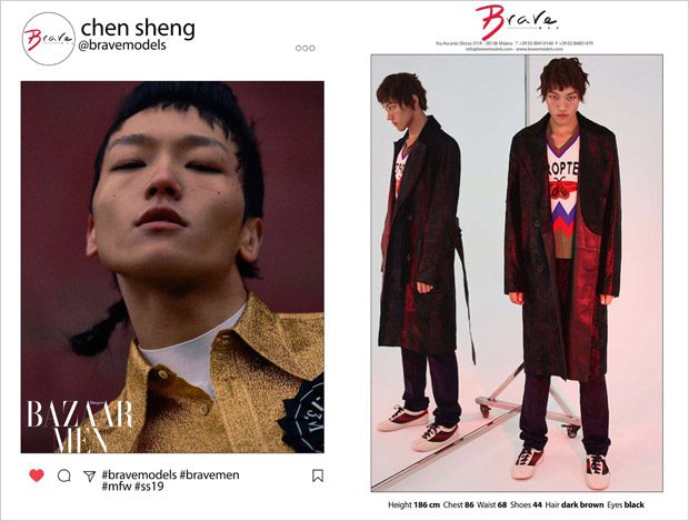 Brave Model Management