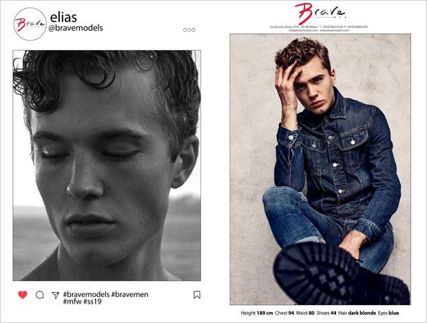 Brave Model Management