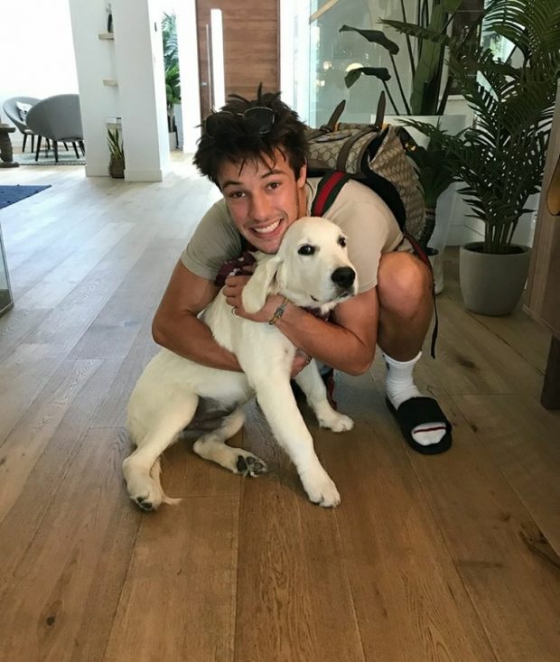 cameron dallas