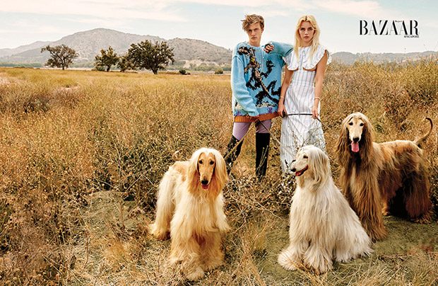 Lucky Blue