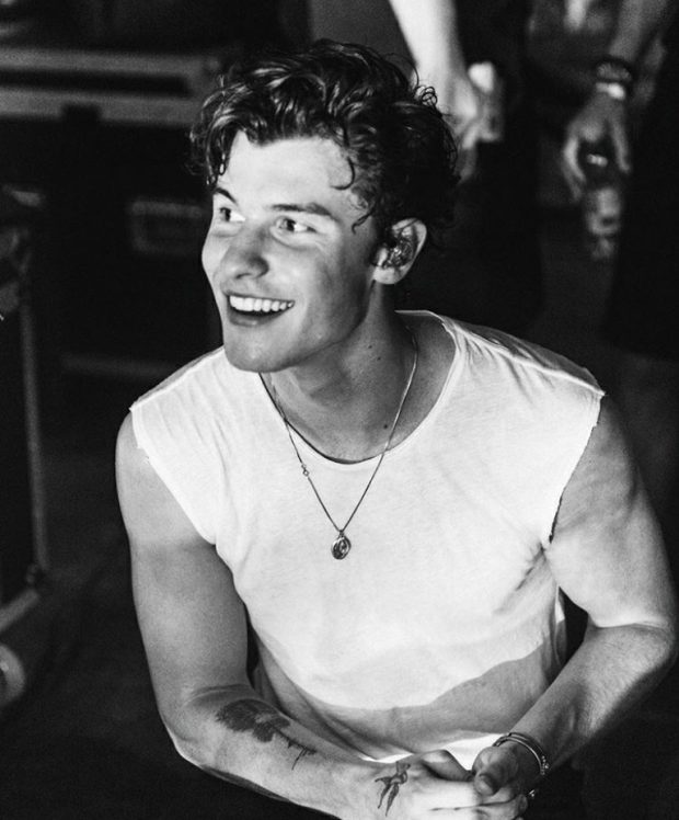 shawn mendes