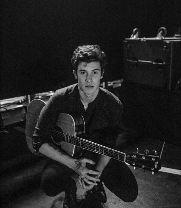 shawn mendes