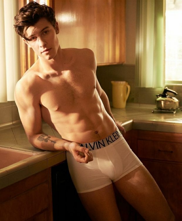 SHAWN MENDES calvin klein