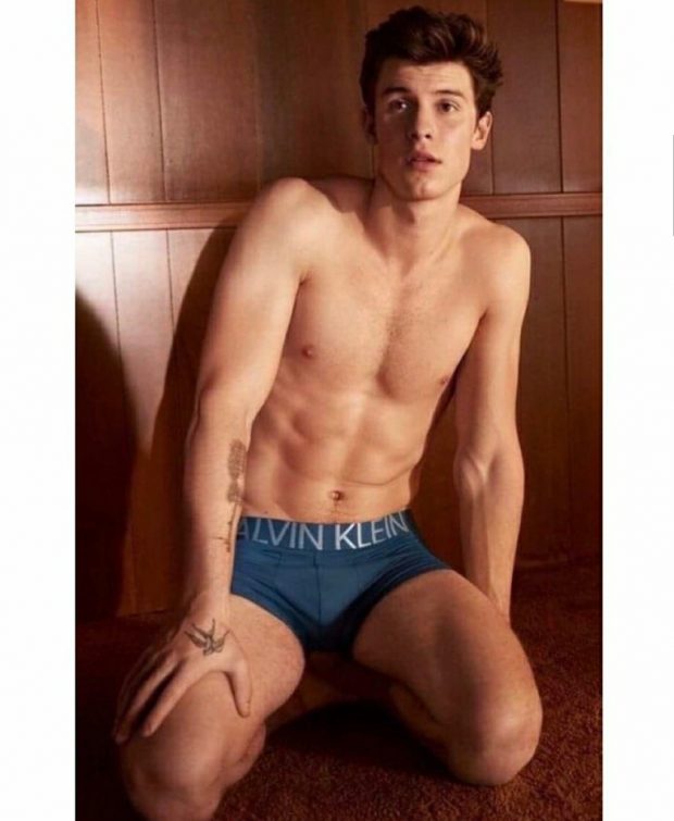 SHAWN MENDES MyCalvins