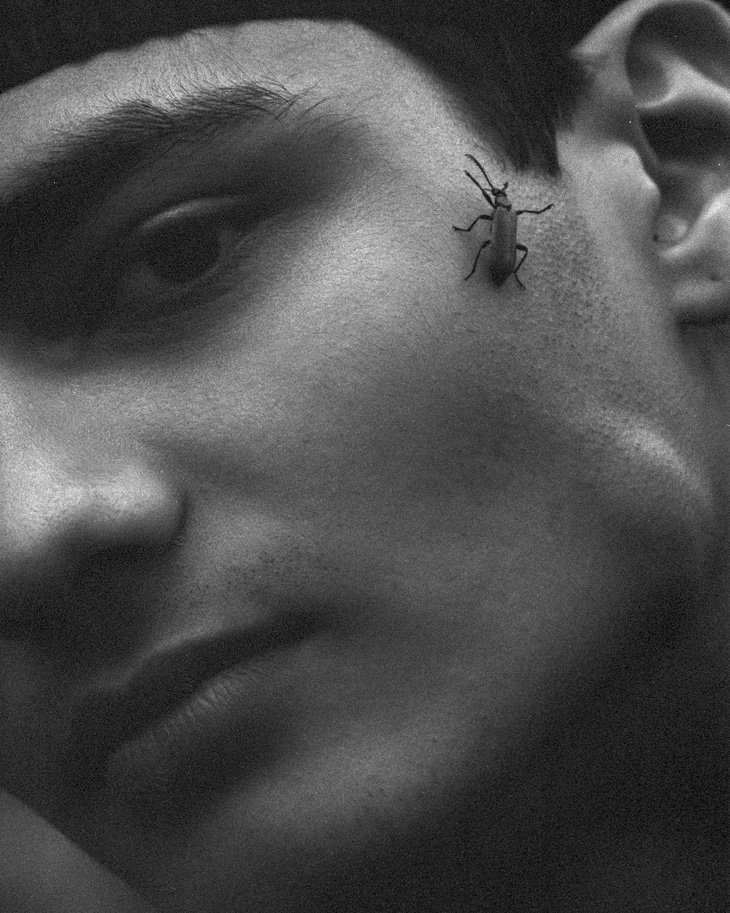 Gino Ward