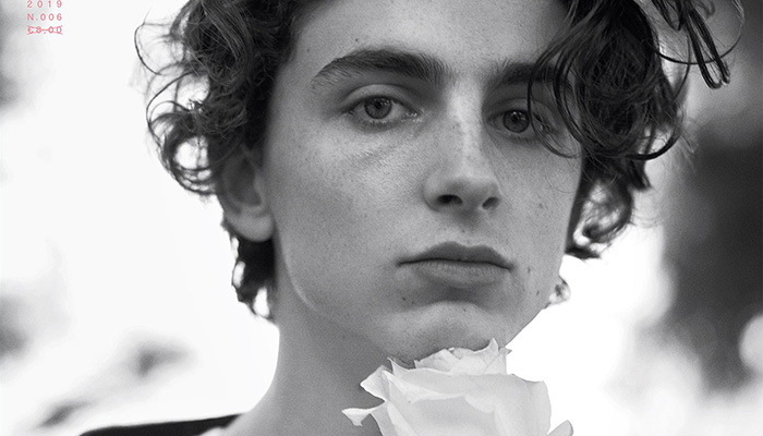 Timothée Chalamet: the photo shoot and interview for L'Uomo