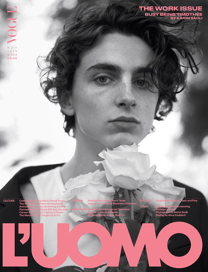 Timothee Chalamet Vogue Photoshoot Poster for Sale by cupidchu