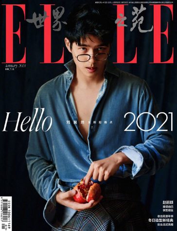 Liu Haoran is the Cover Star of ELLE China January 2021 Issue