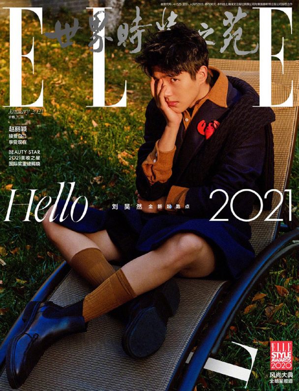 Liu Haoran is the Cover Star of ELLE China January 2021 Issue
