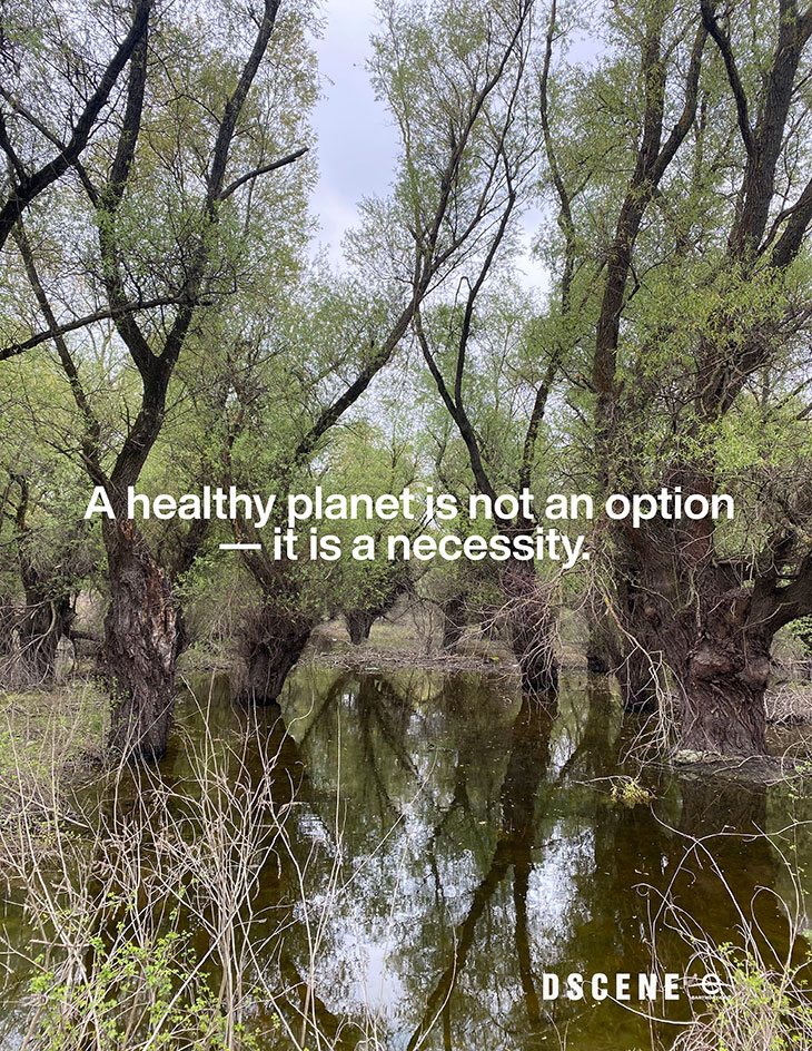 MMSCENE GUIDE: Top Tips For Living A Greener Lifestyle