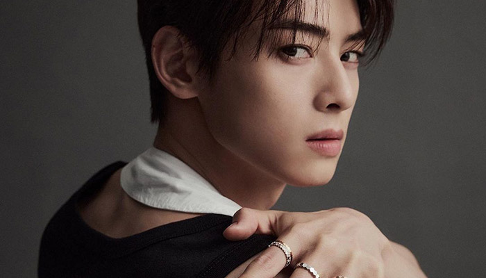 He is looking so dapper and hot: Cha Eun-woo enthralls fans with his  latest issue of W Korea