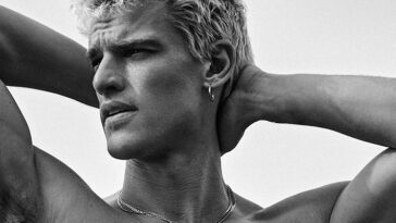 Vincent Van den Dries