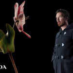 Prada Fall Winter 2023