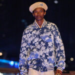 Louis Vuitton Pre-Fall 2024 Collection