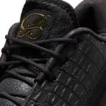 LeBron 22 Black Label