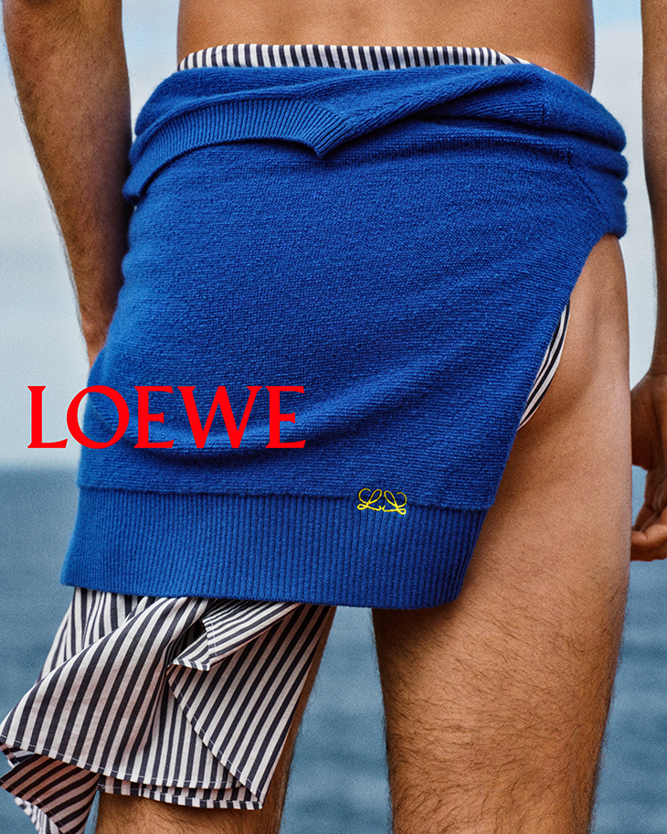 LOEWE Fall Winter 2026 Precollection