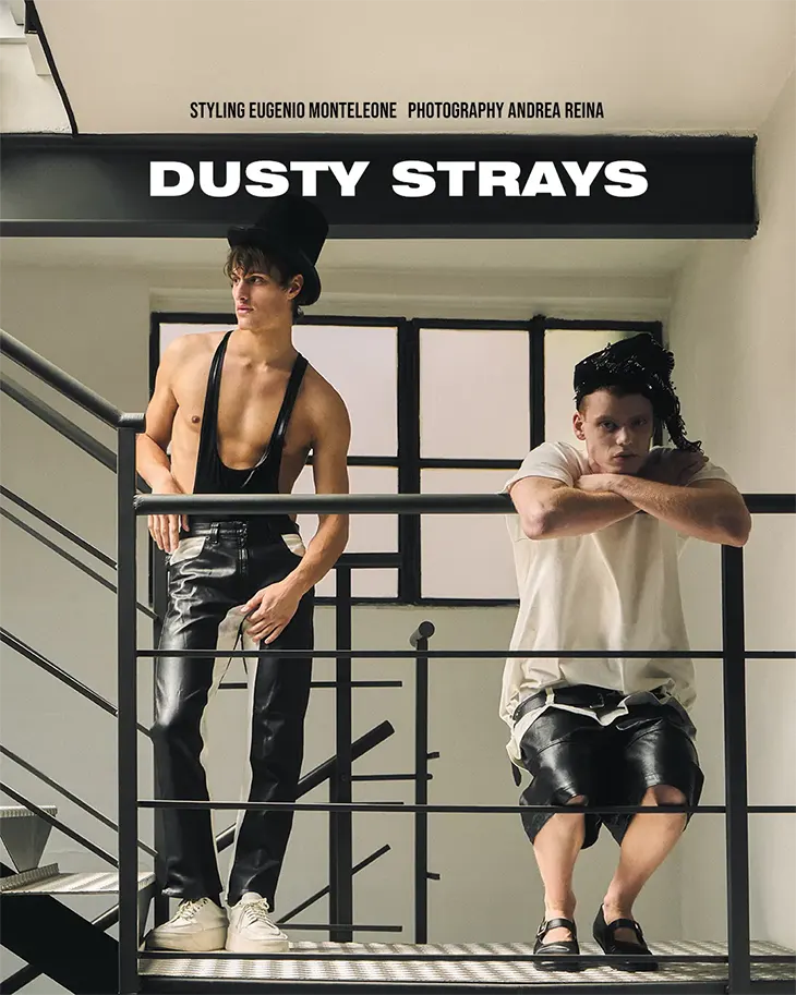 Dusty Strays by Andrea Reina