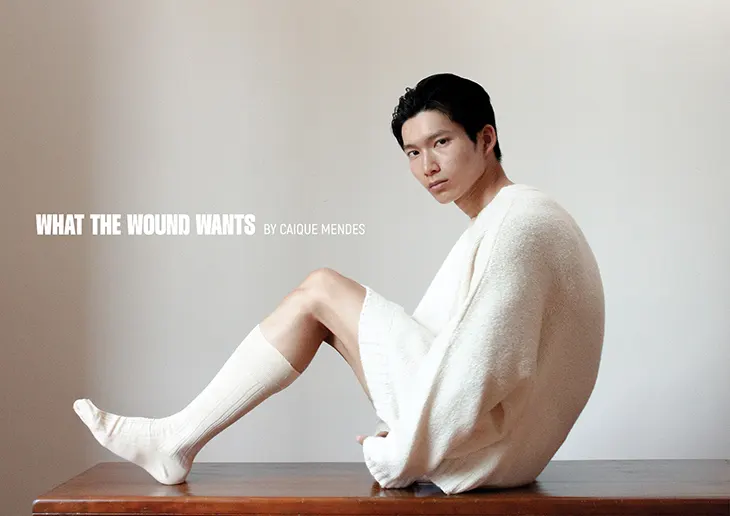 Shotaro Kamiya in What the Wound Wants