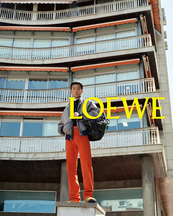 LOEWE Spring Summer 2027 Precollection